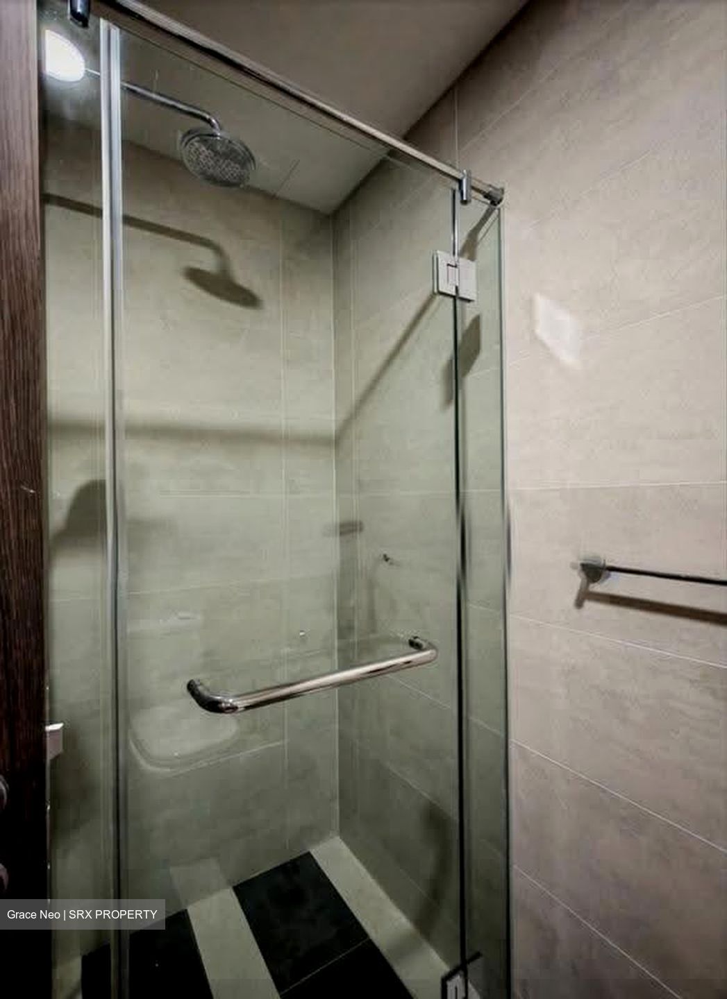 Parc Riviera (D5), Condominium #613180641